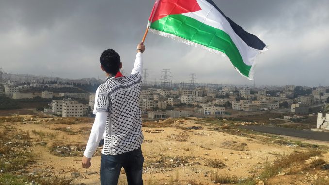 Foto de Ahmed Abu Hameeda en Unsplash